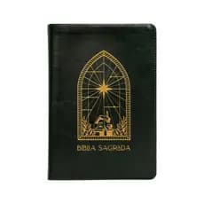 Bíblia Com Espaço Para Anotações - The Purpose Book (A21) - Capa Luxo Couro Soft Verde