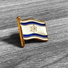 Pin Bandeira Israel Broche Judeu Diplomata Acessório