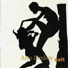 Cd Arto Lindsay Salt