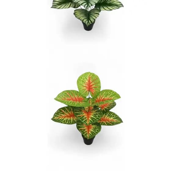 Planta Artificial Caladium Colorida 40cm - 12 Folhas Exóticas