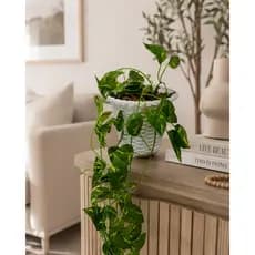 Jiboia Artificial Pendente no Vaso Branco Decorativo – Planta Permanente para Sala, Painel de TV e Escritório