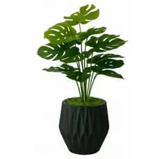 Planta Artificial Costela de Adão - Design Realista e Sofisticado
