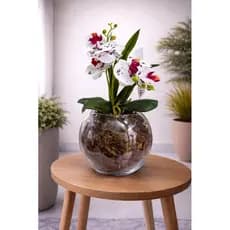 Arranjo de Orquídea Branca com Vermelho no Vaso de Vidro