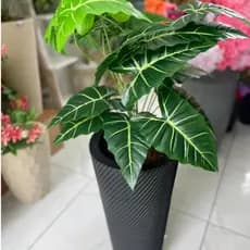 Planta Artificial Alocasia Realista - Folhagem Premium