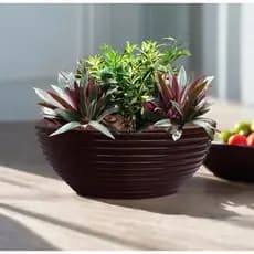 Vaso de Planta Bacia Cuia 40x14 Cm  Redondo Floreira Decorativo em Polietileno Plastico