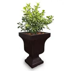Vaso de Planta Flores Taça Decorativo Para Arranjos em Polietileno 60x42 cm