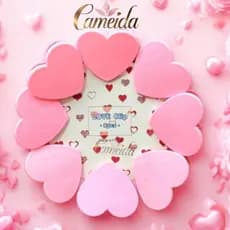 Kit com 8 Prendedores/Lacre de Embalagem Para Cozinha de Plástico em Formato Coração Rosa Love