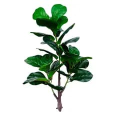Planta Artificial Ficus Lyrata 90cm 33 Folhas Realista Haste Decorativa Para Sala Escritório