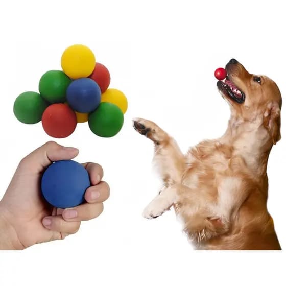 Bolinha Anti Stress Relaxante Fisioterapia e Pets Oficial