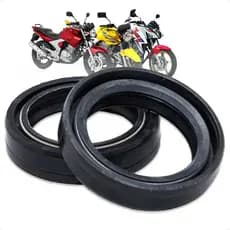 Retentor de Bengala Suspensão Para Twister 2001 a 2008 Da Cb 300 2009 a 2015 Pra Fazer 250 a 2011