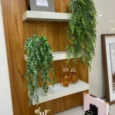 Kit 2 Pendentes Folhagens de Eucalipto Ou Samambaia Artificiais para Decorações Internas e Externas