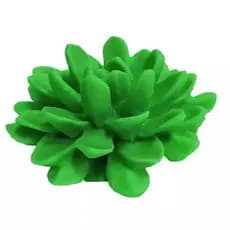 Molde de silicone para sabonete, vela artesanal - SUCULENTA G2