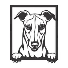 Quadro Decorativo Dog Greyhound MDF 3mm Preto Fosco