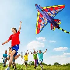 Pipa Chinesa Grande Poliéster 3D Importada Avião 147 cm por 97 cm + 197 cm De Rabiola + 40 metros De Linha De Nylon