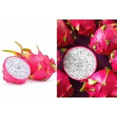 Kit 3 Pitaya Auto fértil Branca Premium Gigante+2 kg de esterco puro pineirado