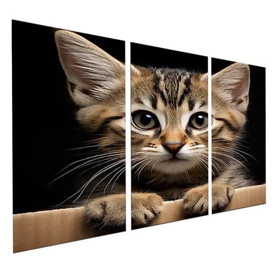 Quadro Decorativo 3 Peças Gato Filhote Fofo Close Preto Moderno