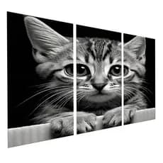 Quadro Decorativo 3 Peças Gato Preto Branco Minimalista Elegante