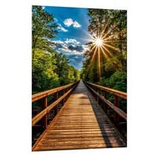 Quadro Decorativo Ponte Madeira Natureza Luz do Sol