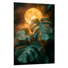 Quadro Decorativo Folha Costela de Adão Lua Estética Natureza