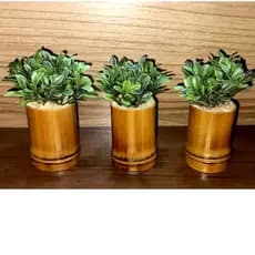 Vasinhos de Bambu, Kit 3 Mini Vasos de Plantas Artificiais