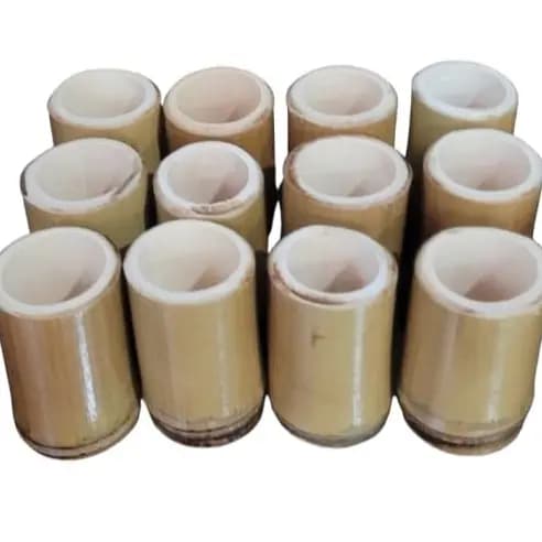 Kit de vasinhos de bambu natural mini vaso de bambu natural vasinho para suculentas decoração