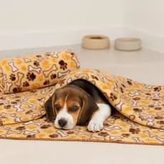 Manta Pet Soft Cobertor para Cachorro e Gato Macia Quentinha e Confortável
