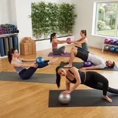 Bola Yoga Pilates 25cm Antiestouro PVC Profissional Fisioterapia Exercícios Funcional Academia
