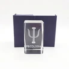 Cubo De Profissão Psicologia Enfeite Decorativo
