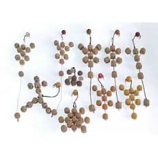 Kit Com 10 Anteninha Para Pesca (Manhoso) + Brinde