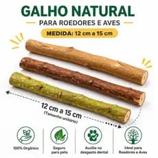 Galhos de Goiabeira Para Roedores e Aves (Hamster, Ratos, Porquinho da India, Papagaios etc.)