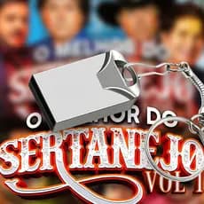 SERTANEJO cerca de 48hrs de reprodução músicas USB EXCLUSIVO
