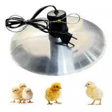 Aquecedor Campanula Pintinho Resistencia Blindada 400w