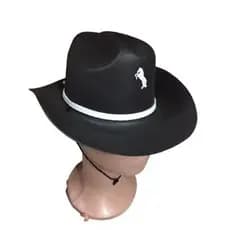 CHAPÉU COWBOY EVA FESTA JUNINA ARRAIÁ fantasia