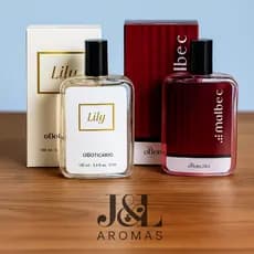 Perfume Feminino e Maculino 100 ML