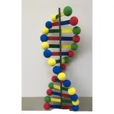 Kit Maquete Escolar DNA Bolas De Isopor  Palito Sorvete + Guache e Pincel