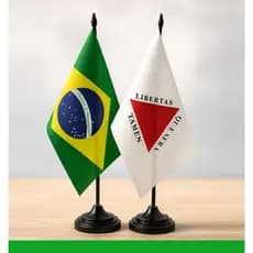kit Bandeira personalizada Brasil Minas Gerais MG decoração mesa escritório quarto sala times mineiro estados futebol MG