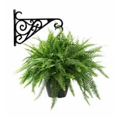 Kit C/10 Suporte para Pendurar Vasos de Plantas de Plástico Resistente para Jardim Suporta até 7kg