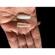 UNHAS POSTIÇA REALISTA BAILARINA - Caixa Com 100 Unha Postiça Leitosa ou Transparente