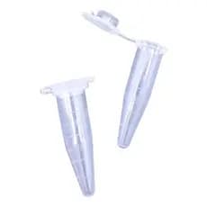Microtubo Pino 1,5ml Incolor 500 Unidades