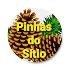 kit 20 Pinha Para Artesanato e Decorações de Natal(100% Natural)