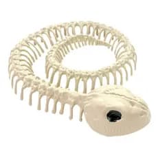Esqueleto Cobra Enrolado Animal Plástico Halloween Decoração