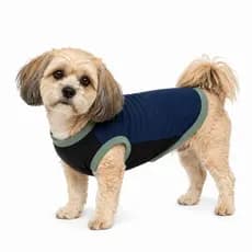 Moletom Pet Roupa Inverno Cachorro Cão EXG