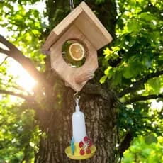 Alimentador de Passaros Livres Casinha de Passarinho Madeira Decoração Jardim Bebedouro Beija Flor