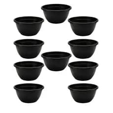 Kit Vasos Plásticos Cuias 21cm de 2 Litros para Suculentas, Mudas e Artesanato, Rosa do Deserto