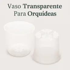 10 Vasos Para Orquídeas Com Cone Plástico Transparente Pote 12