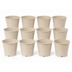 Kit Vasos Plástico Pote 12 Para Orquídeas e Plantas N12 Premium na Cor Bege Preço de Atacado