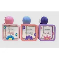 Fixador de maquiagem, Paleta de corretivo makeup