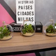 Flor Suculenta Com Vaso Vidro Para Pendurar Sala Verde 11 Cm