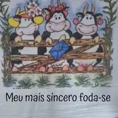 Pano de Prato - Decoração - Cozinha - Toalha de Copa - MEU MAIS SINCERO...