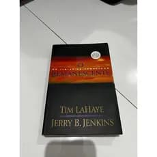 Livro O Remanescente - No liminar do Armagedom - Tim LaHaye - Jerry B. Jenkins